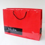 Paper shopping bag gloss laminated 10104