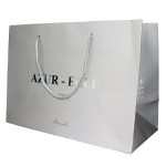 Paper shopping bag/exclusive carrier bag AE